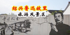 视频日韩操叉小说中国绍兴-鲁迅故里旅游风景区